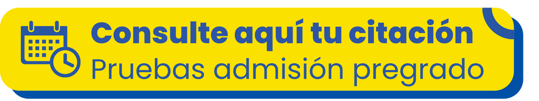 Resultados Pruebas Pregrado