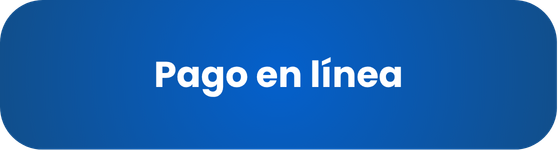 Pago en Linea