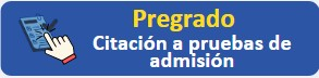 CitacionesaPruebasPregrado