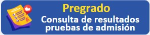 CitacionesaPruebasPregrado