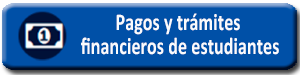 Pagos en línea